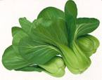 Chinese Cabbage Green