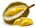 Durian (nasiona)